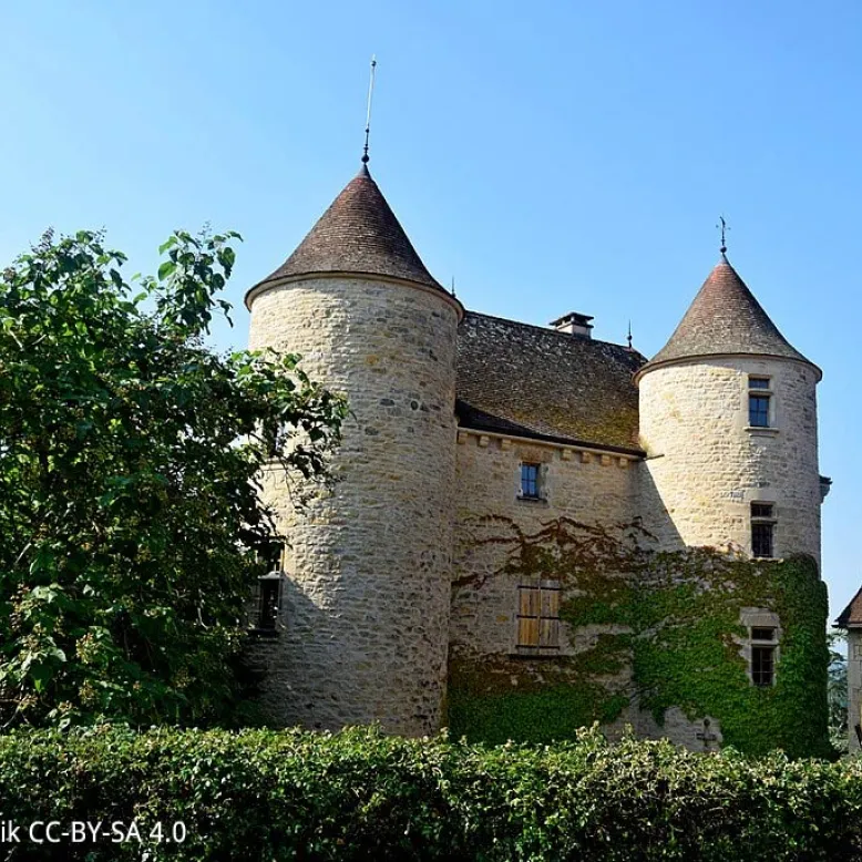 Parisot