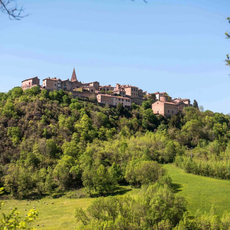 Puycelsi