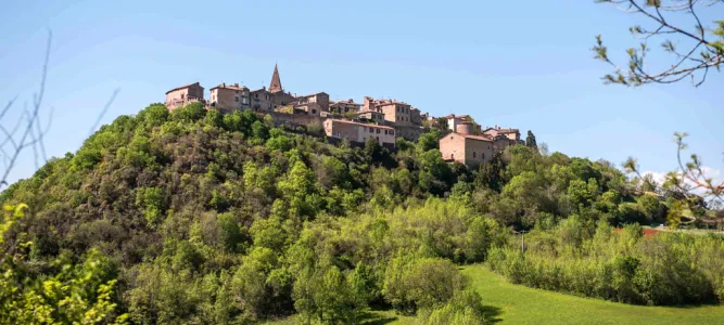 Puycelsi
