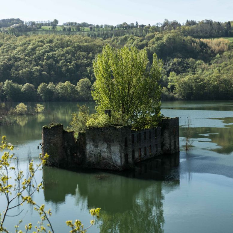 Teillet