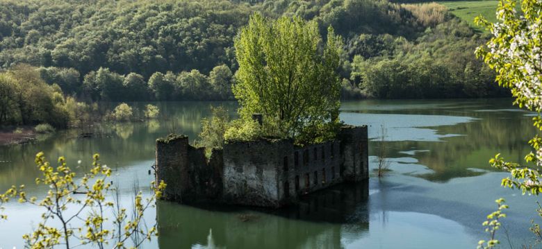 Teillet