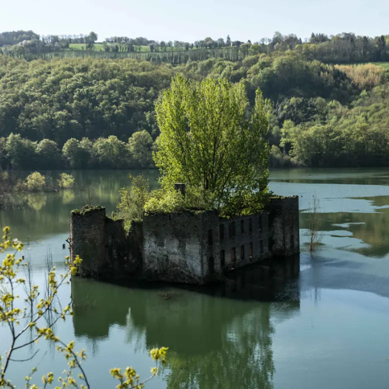 Teillet
