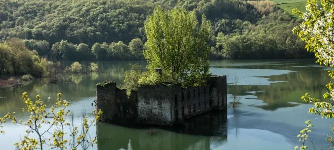 Teillet