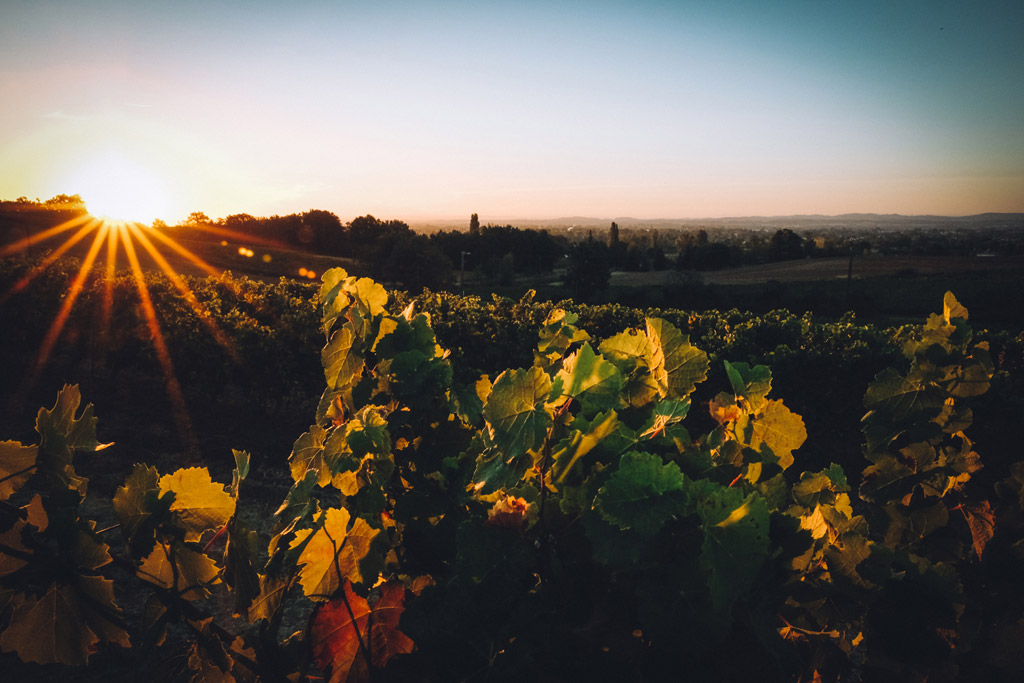 Domaine de la Petite Tuile