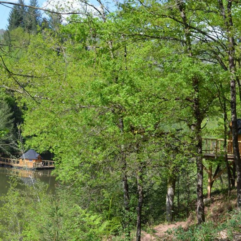 Duzou Farm