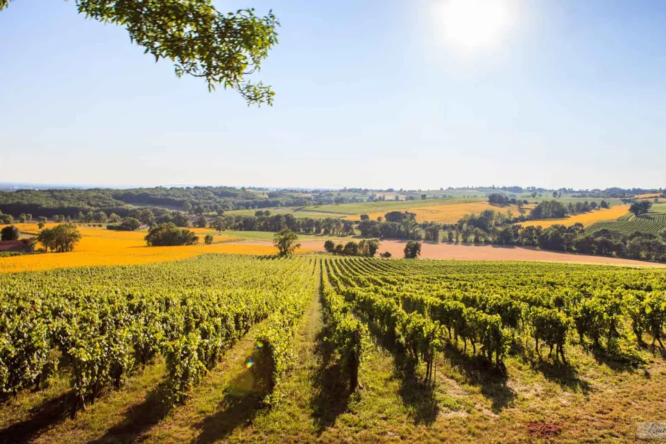Ambassadeurs du vignoble de Gaillac