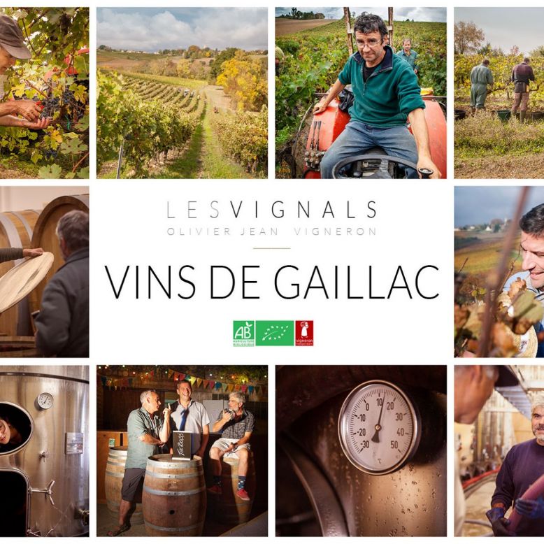 Château les Vignals