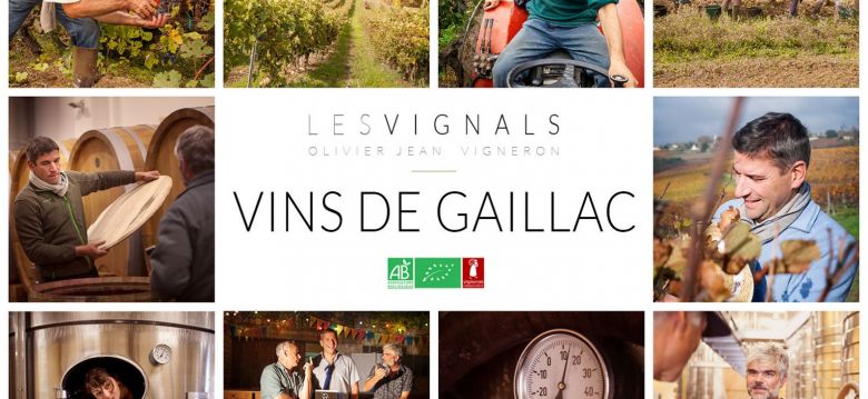 Château les Vignals