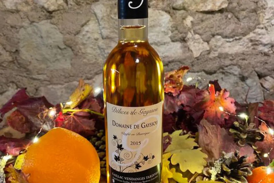 Domaine de Gayssou