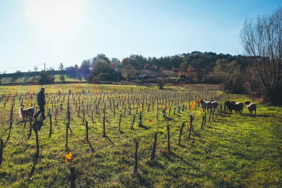 Domaine Michel ISSALY
