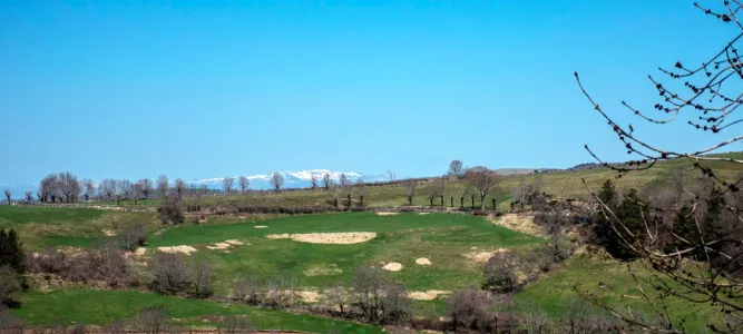 Plateau de L'Aubrac