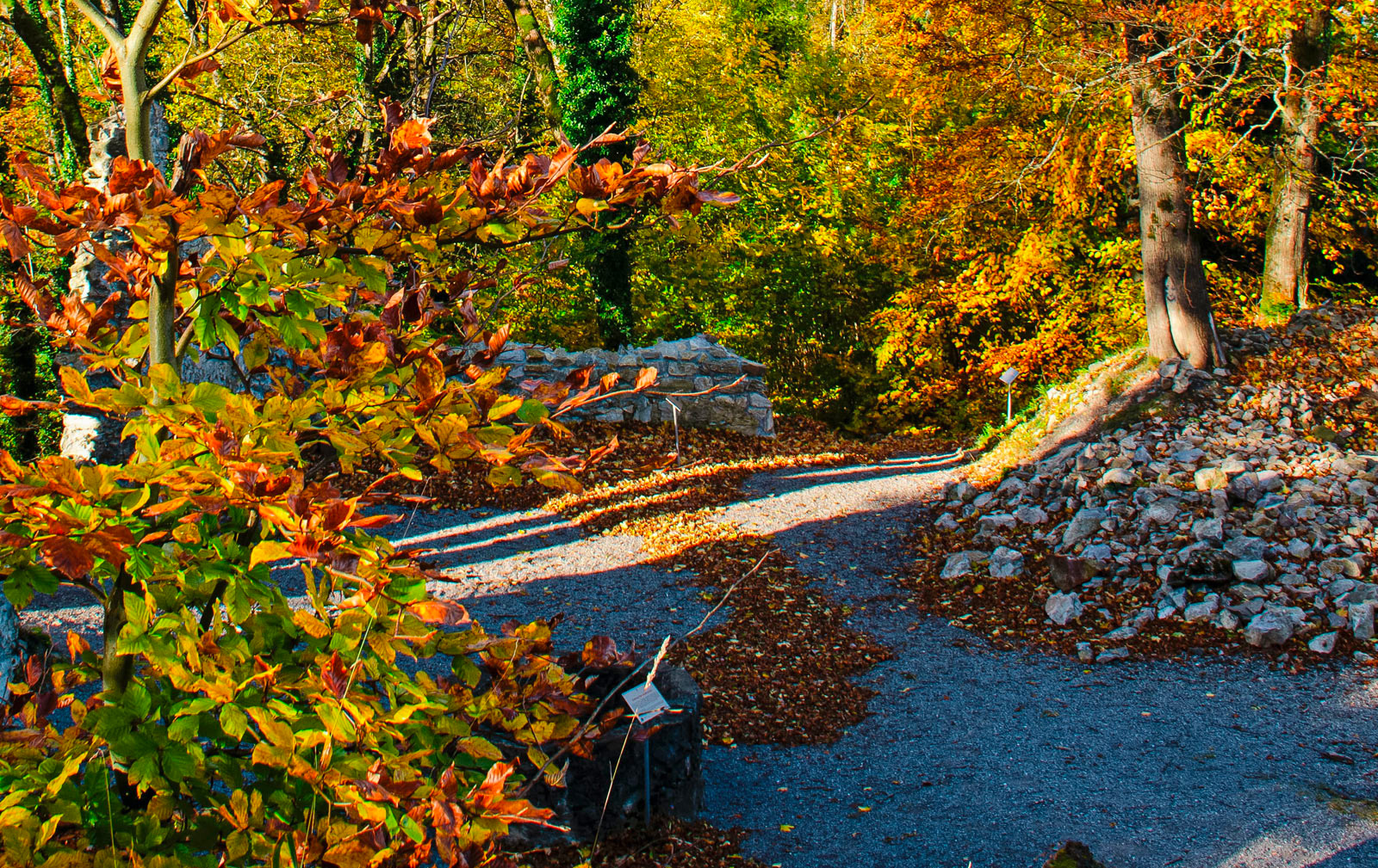 The Laux botanical trail