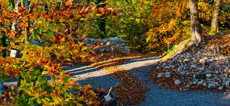 The Laux botanical trail