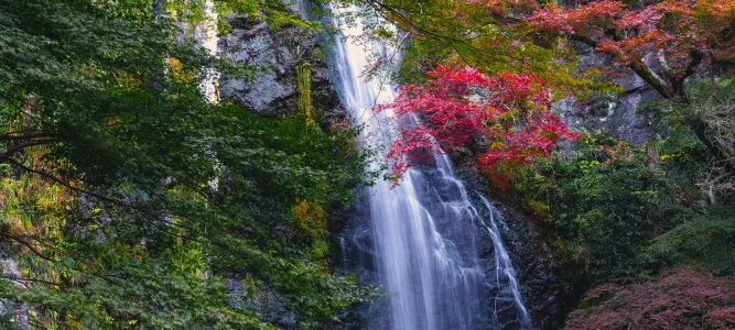 The Saut du Chien waterfall
