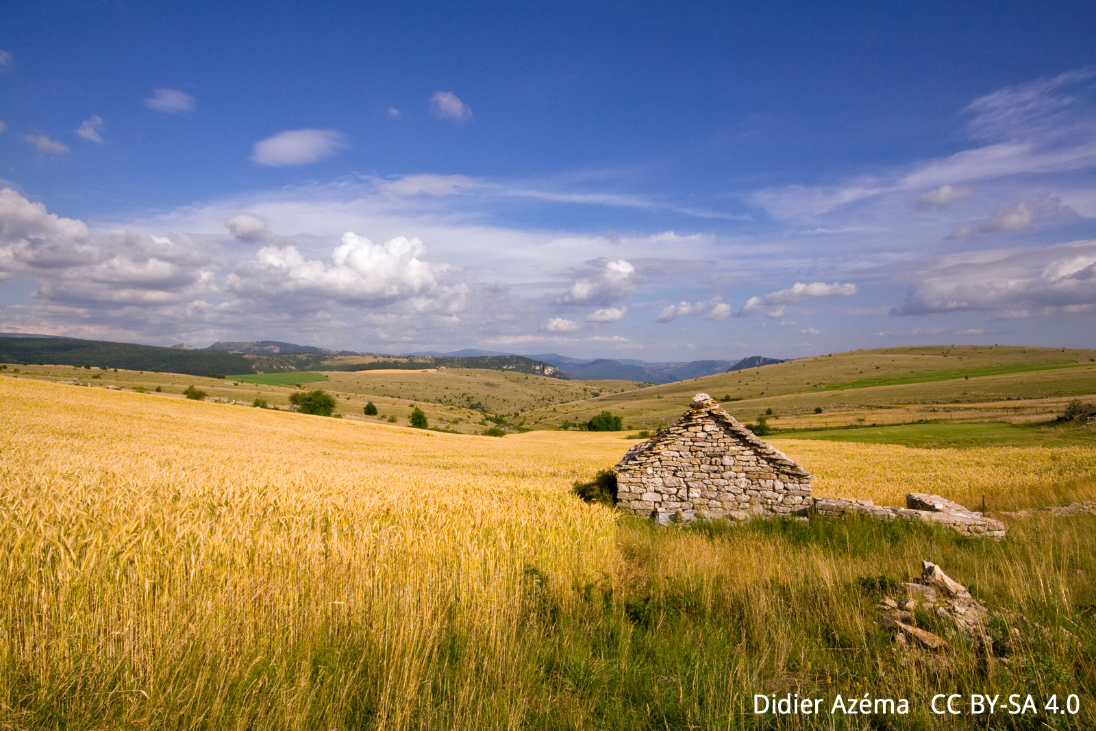 The Causse de Sauveterre