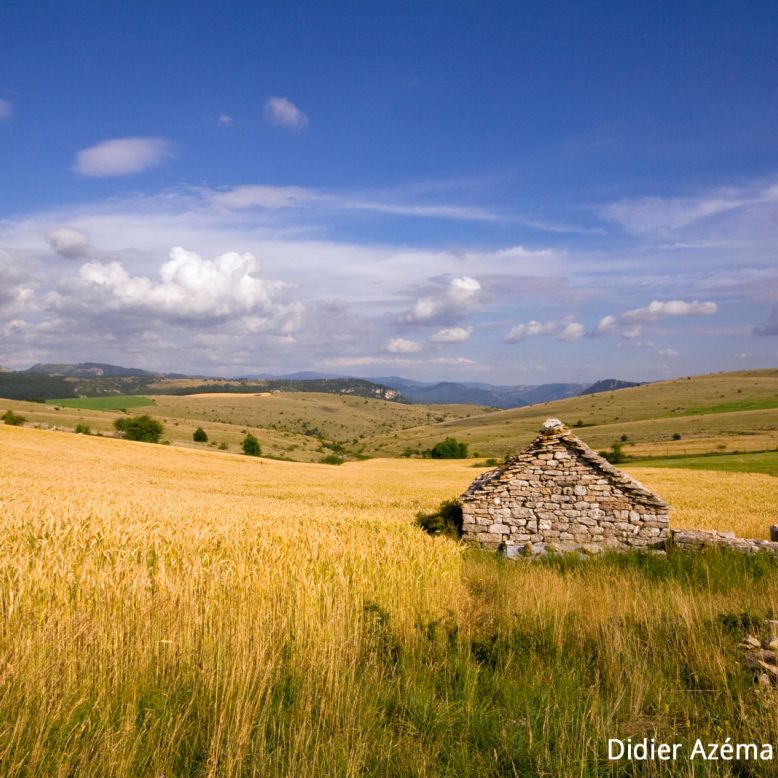 The Causse de Sauveterre