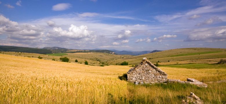 The Causse de Sauveterre