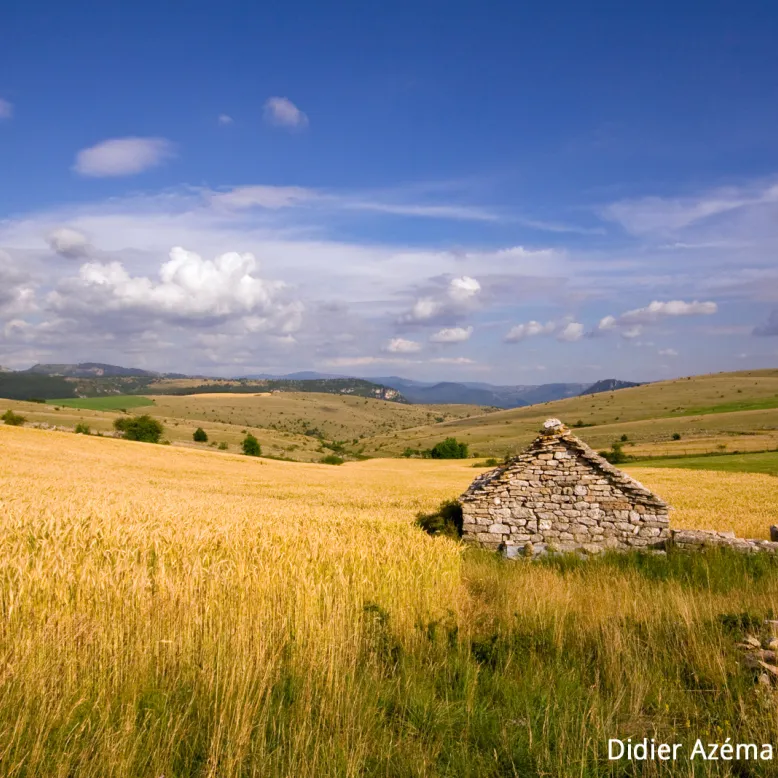 Le Causse de Sauveterre