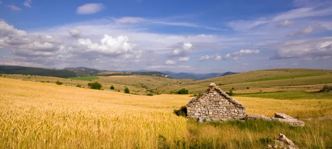 Le Causse de Sauveterre