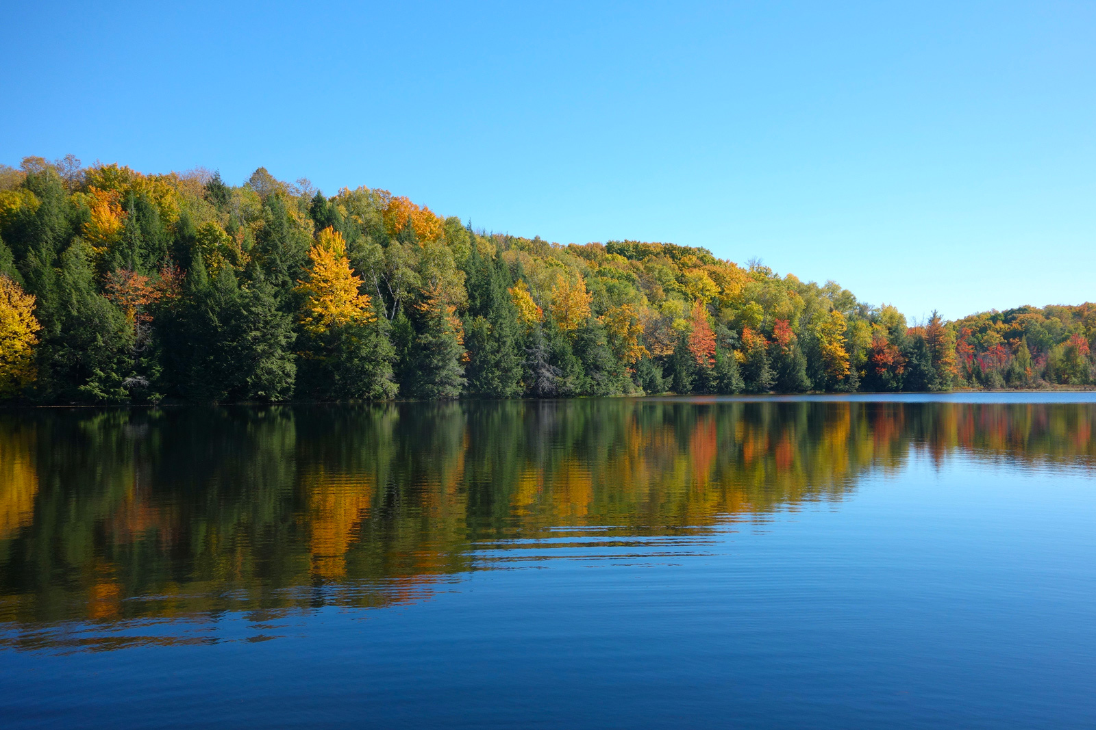 Le lac de Maury ou Lac de la Selve