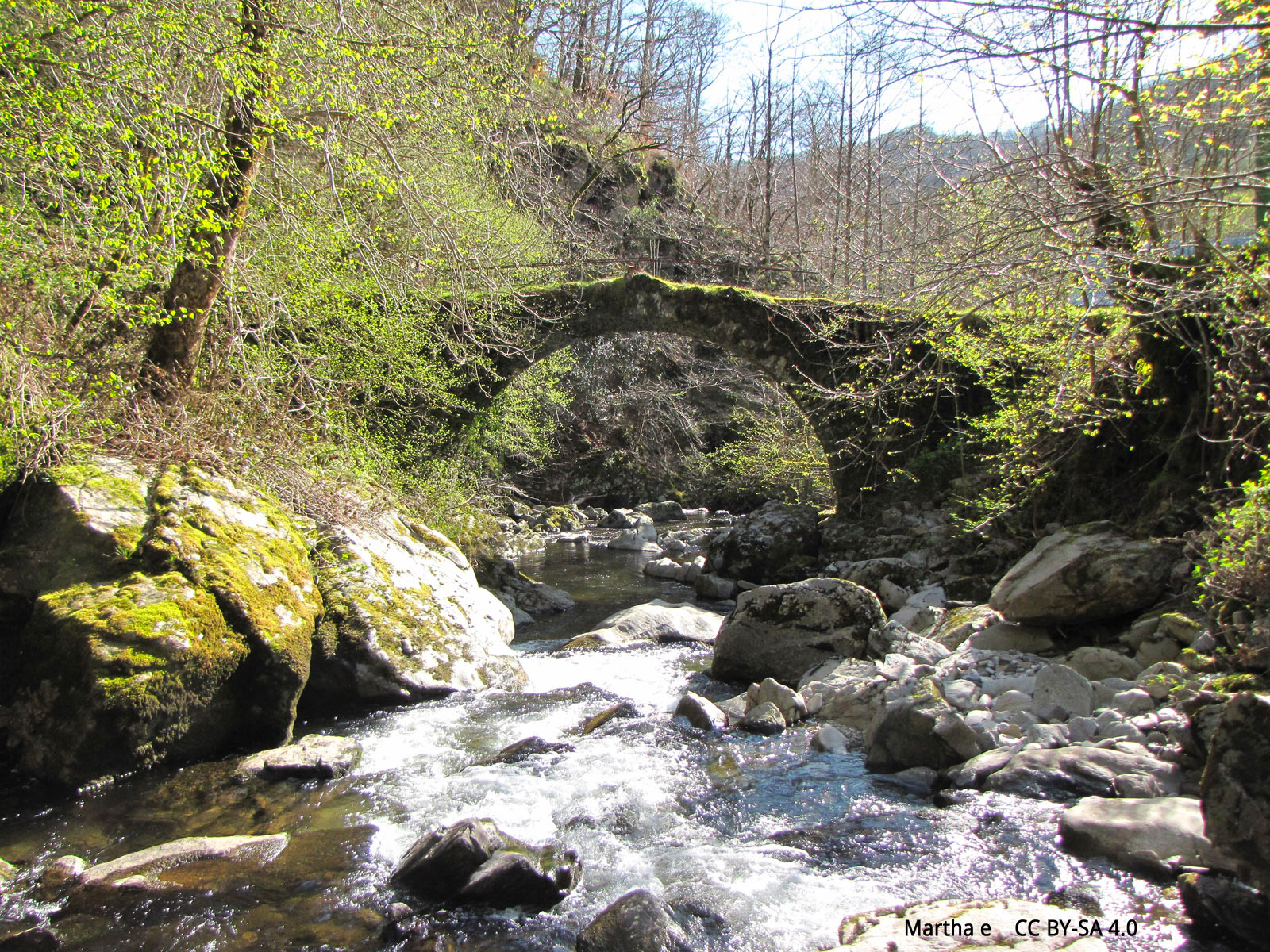 The Boraldes of Aubrac