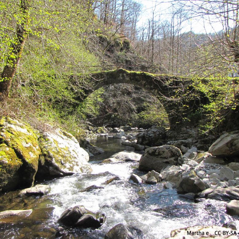 The Boraldes of Aubrac