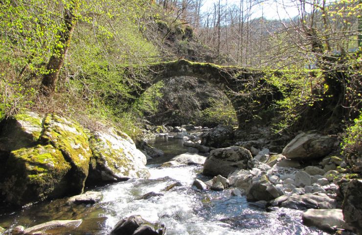 Les Boraldes de l'Aubrac