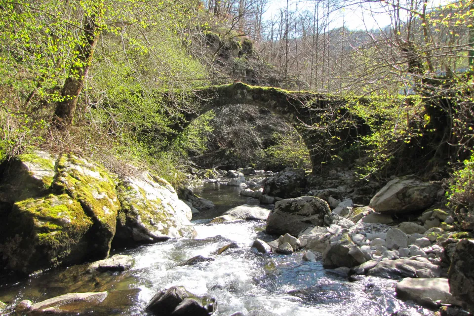 Les Boraldes de l'Aubrac