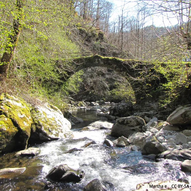 Les Boraldes de l'Aubrac