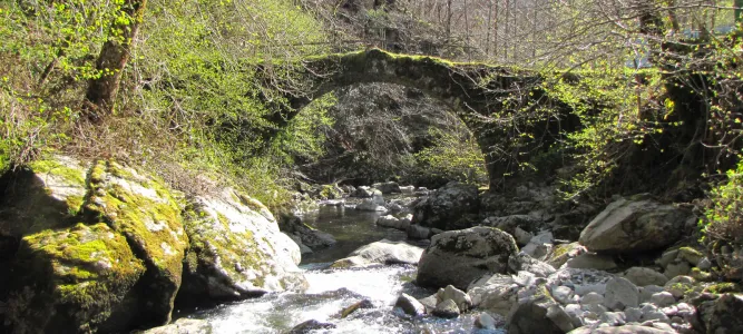 Les Boraldes de l'Aubrac
