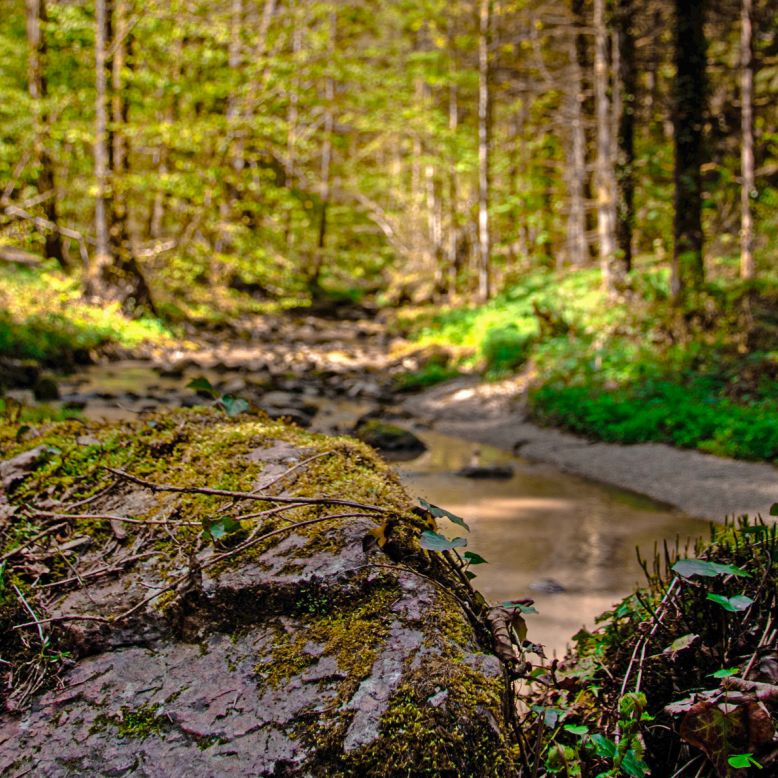 The Gourgue de Maroule trail