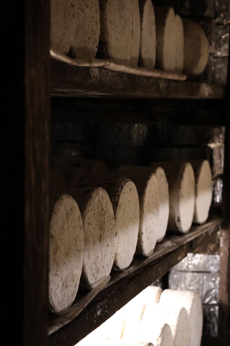 Visite des Caves de Roquefort – Maison Gabriel ...