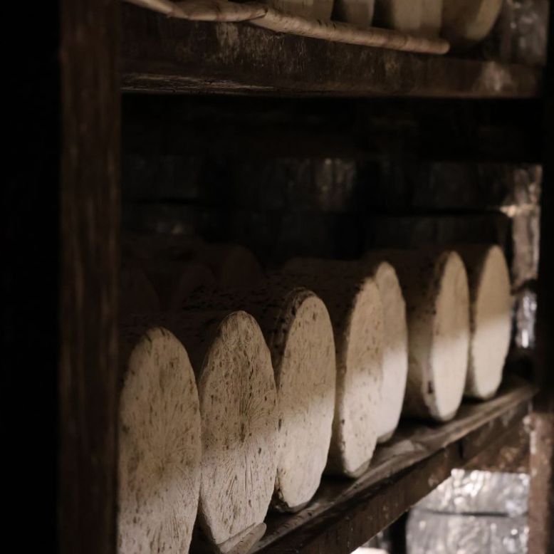 Visite des Caves de Roquefort – Maison Gabriel ...