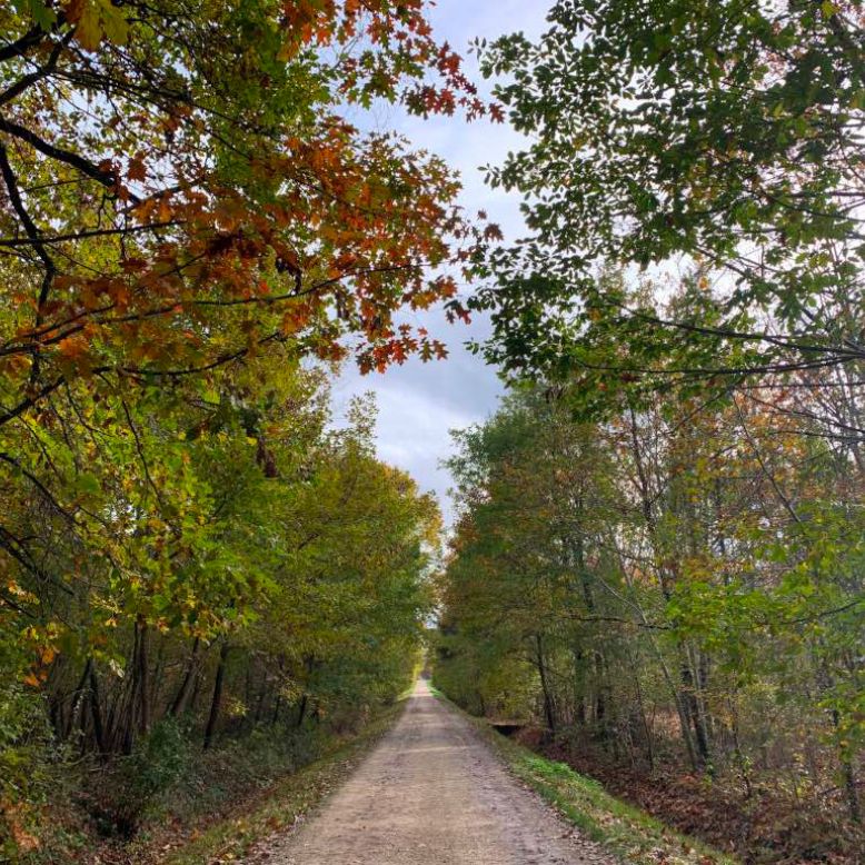 Agre Forest