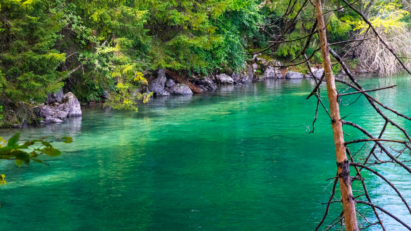 Lac Vert