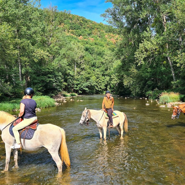 La ferme des grandes oreilles