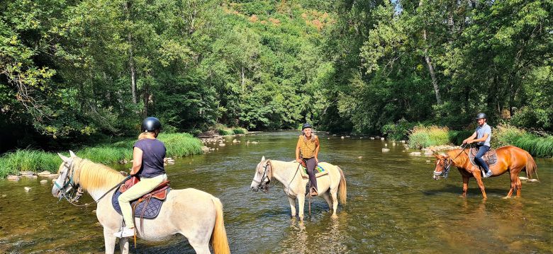 La ferme des grandes oreilles