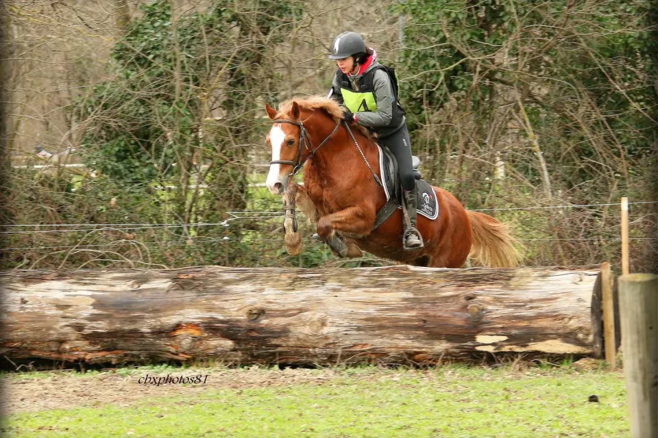 Centre Equestre Castres Borde basse