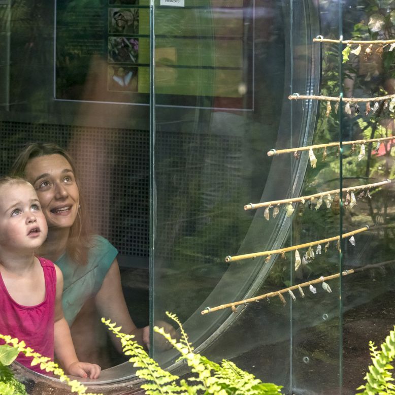 Micropolis La Cité des Insectes