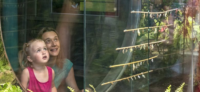 Micropolis La Cité des Insectes