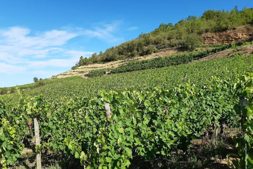 Domaine Croizat