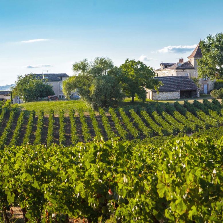 Les Vignobles Gayrel