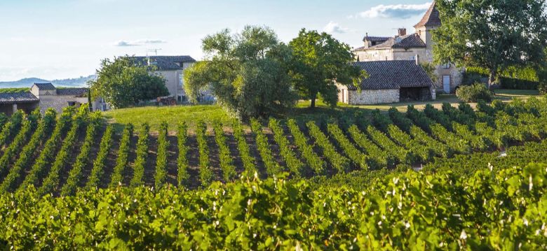 Les Vignobles Gayrel