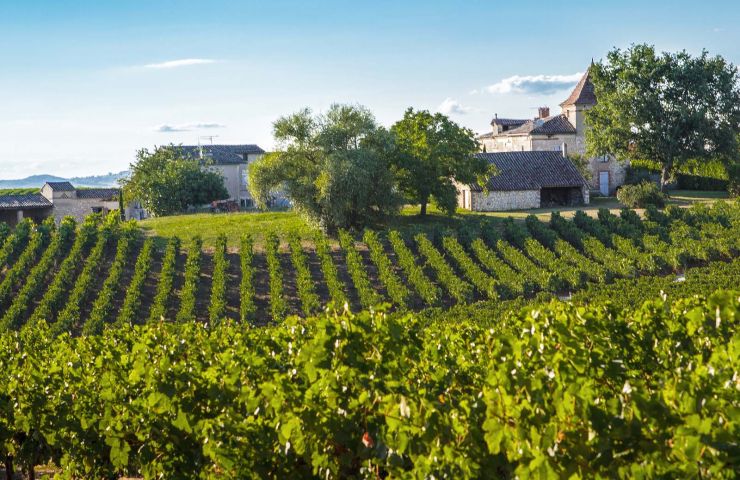 Les Vignobles Gayrel