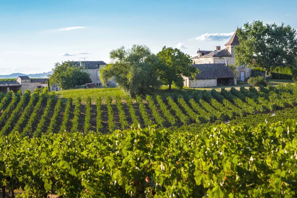 Les Vignobles Gayrel