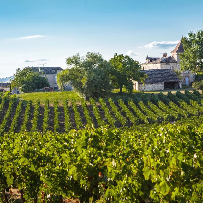 Les Vignobles Gayrel