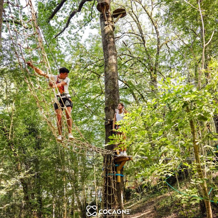 Nat'Venture - A treetop adventure park loved by young and old in the Tarn