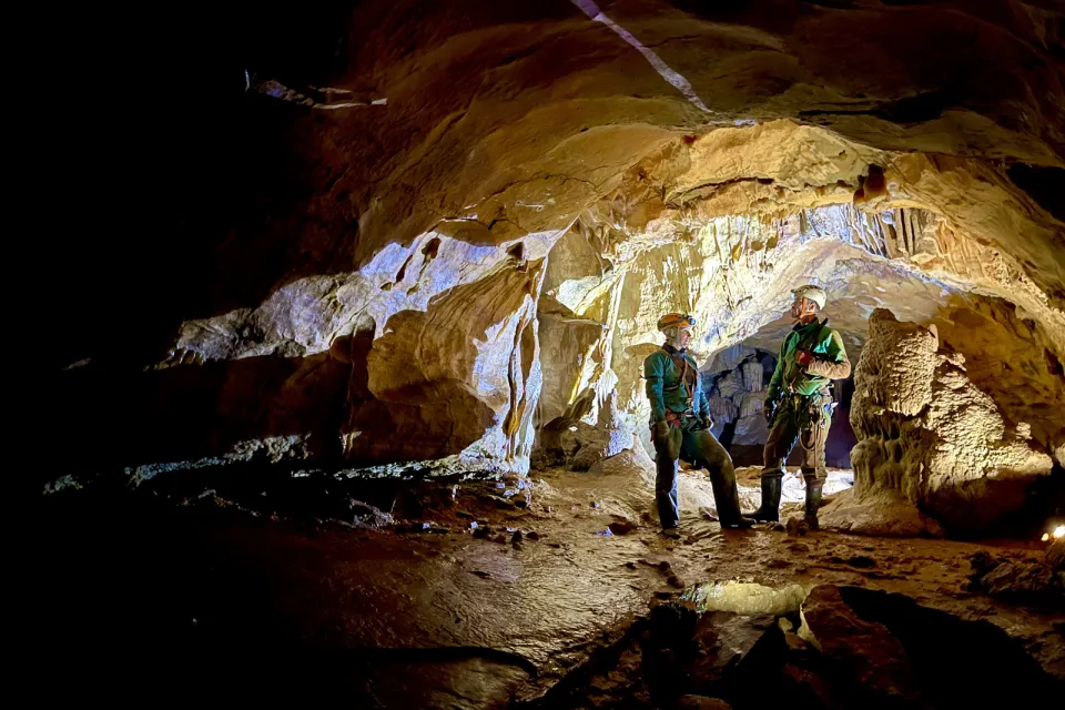 Lo Des Cavernes