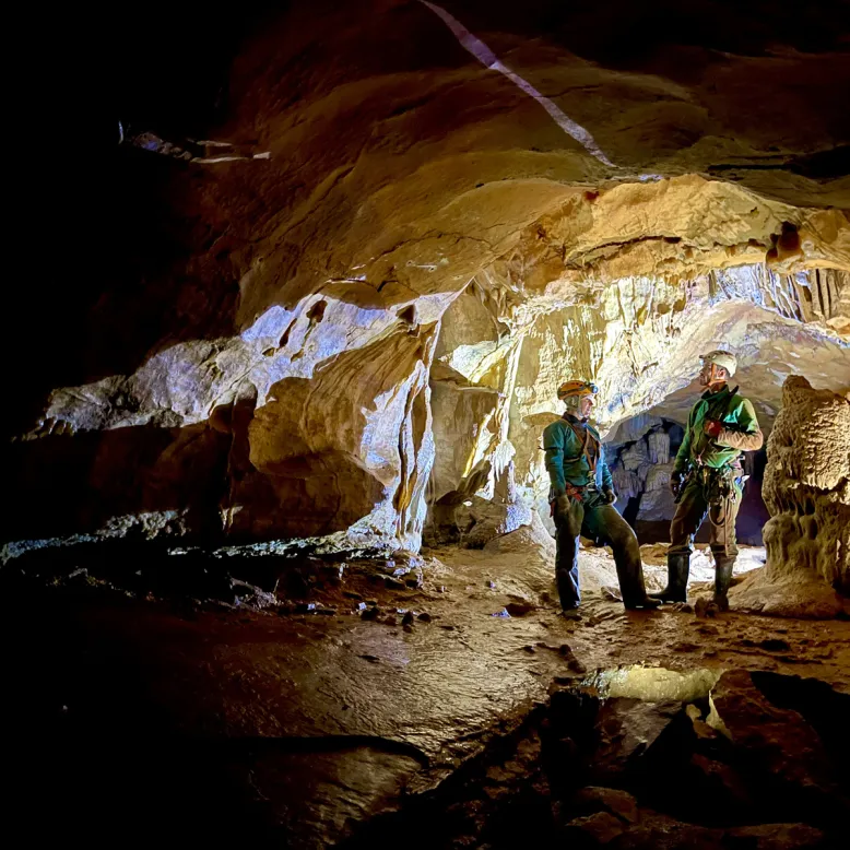 Lo Des Cavernes
