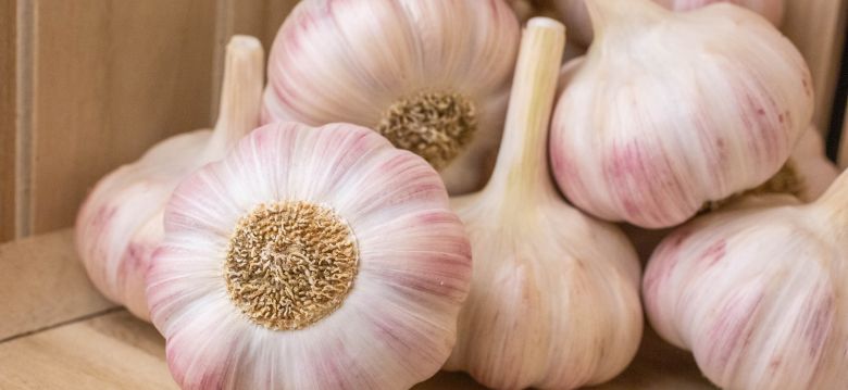 Syndicat de L'ail Rose de Lautrec